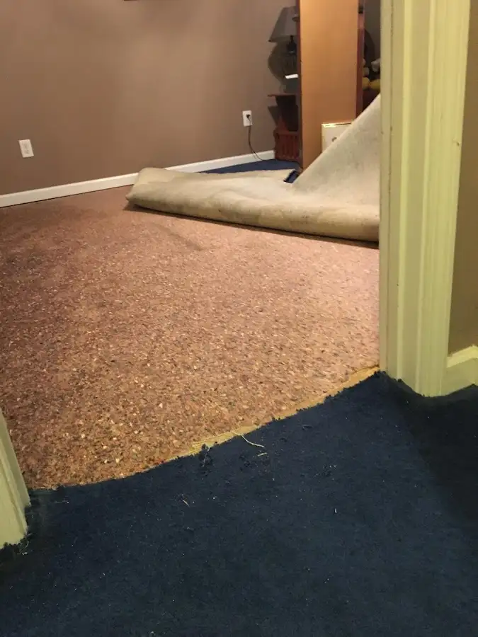Carpet pad removal revealing water damage during Drying & Dehumidification in Sebastian