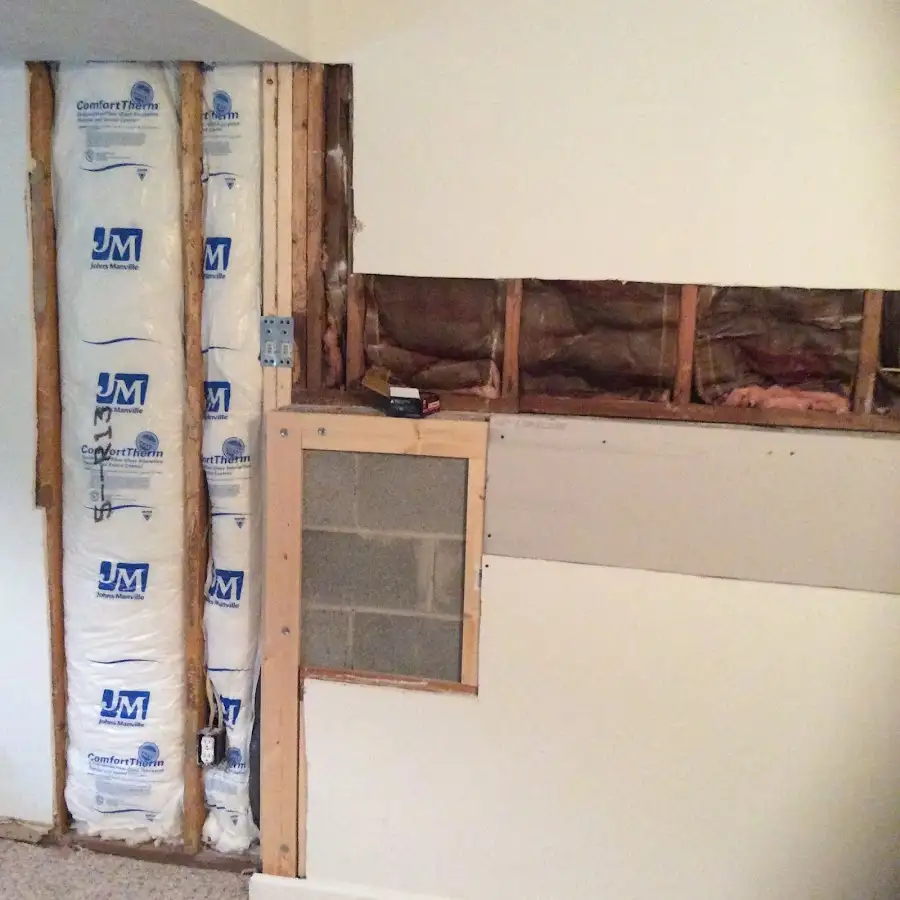 Wall insulation replacement during Basement Flood Cleanup in Sebastian